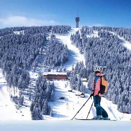 Appartement Mountain Panorama Klinovec *