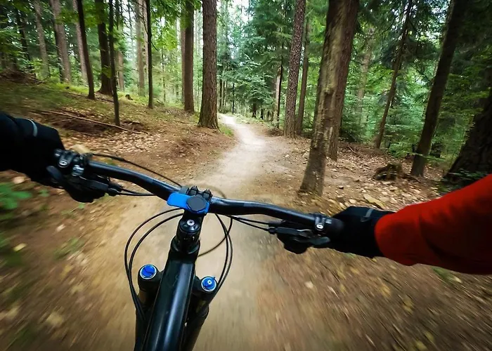 Mountain Panorama Klinovec *