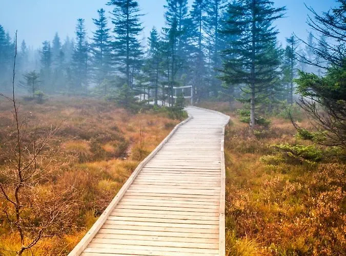 Mountain Panorama Klinovec דירה